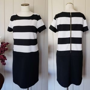 LOFT | 6 black & white shift dress